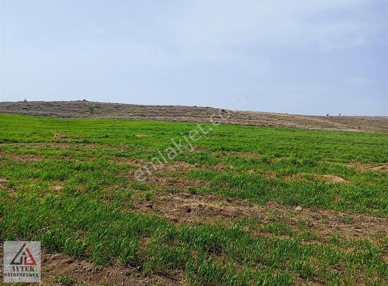 Afyonkarahisar Sandıklı Karadirek Te 8800 M2 Tarla. - Görsel 28