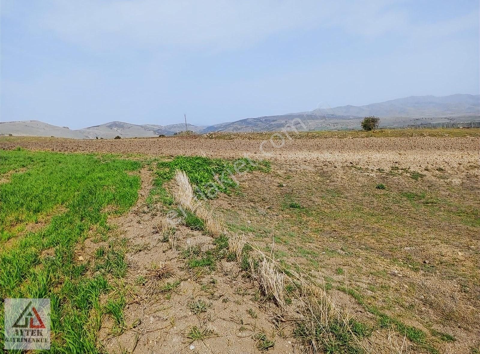 Afyonkarahisar Sandıklı Karadirek Te 8800 M2 Tarla. - Görsel 24