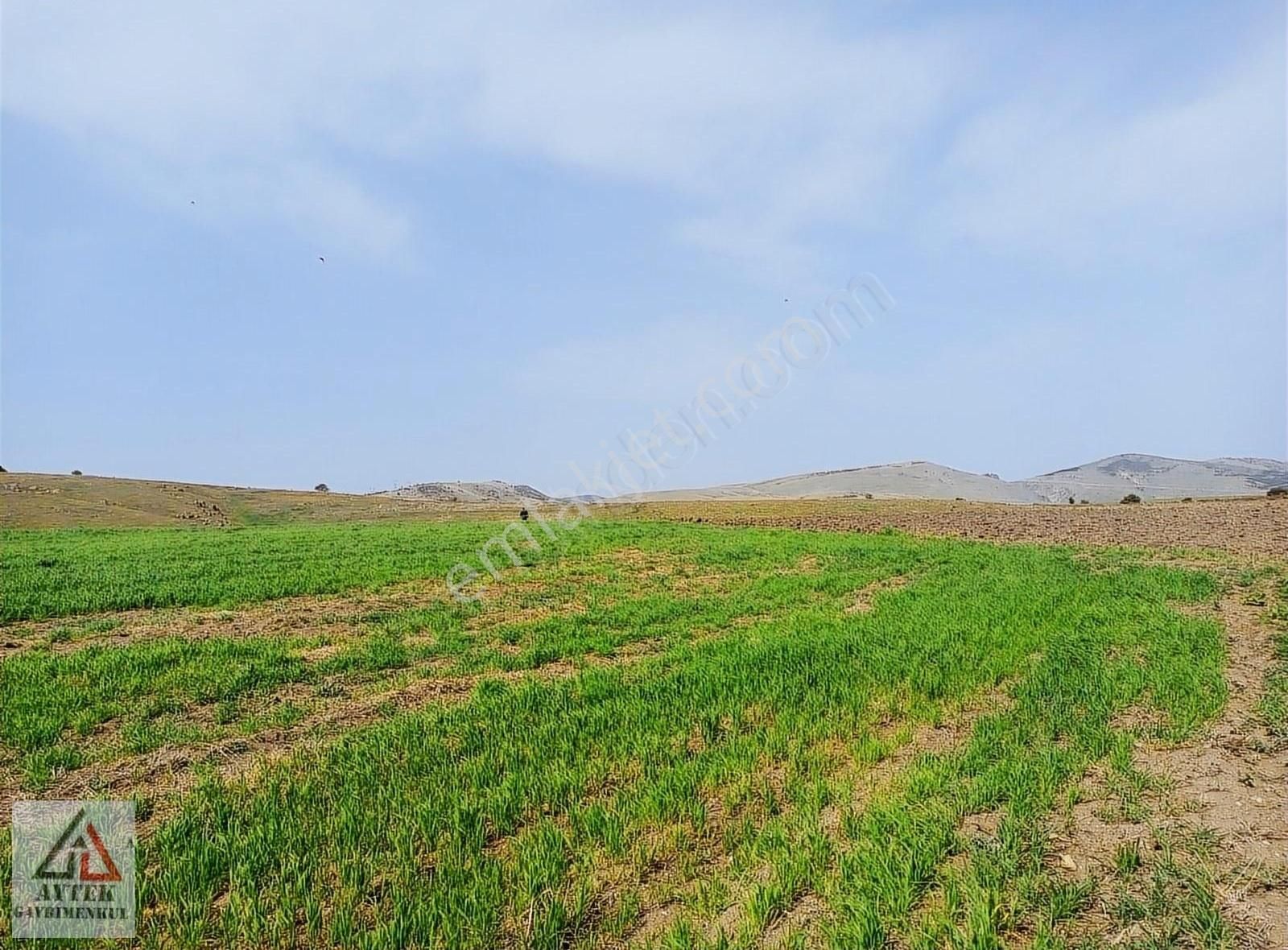 Afyonkarahisar Sandıklı Karadirek Te 8800 M2 Tarla. - Görsel 29