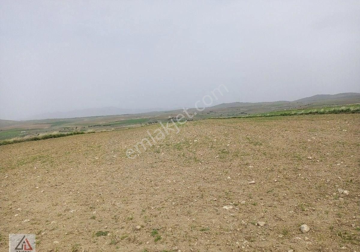 Afyonkarahisar Sultandağı Karapınar Cumhuriyet De Kelepir 5817 M2 Tarla - Görsel 24