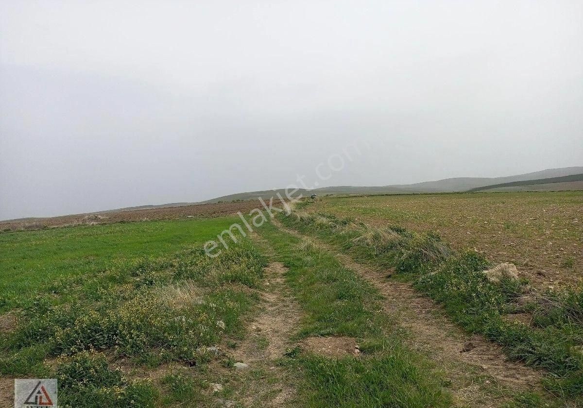 Afyonkarahisar Sultandağı Karapınar Cumhuriyet De Kelepir 5817 M2 Tarla - Görsel 21