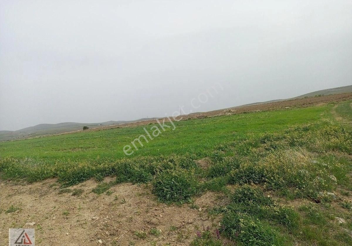 Afyonkarahisar Sultandağı Karapınar Cumhuriyet De Kelepir 5817 M2 Tarla - Görsel 9