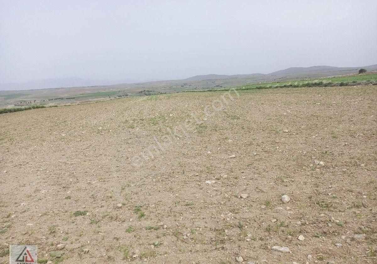 Afyonkarahisar Sultandağı Karapınar Cumhuriyet De Kelepir 5817 M2 Tarla - Görsel 8