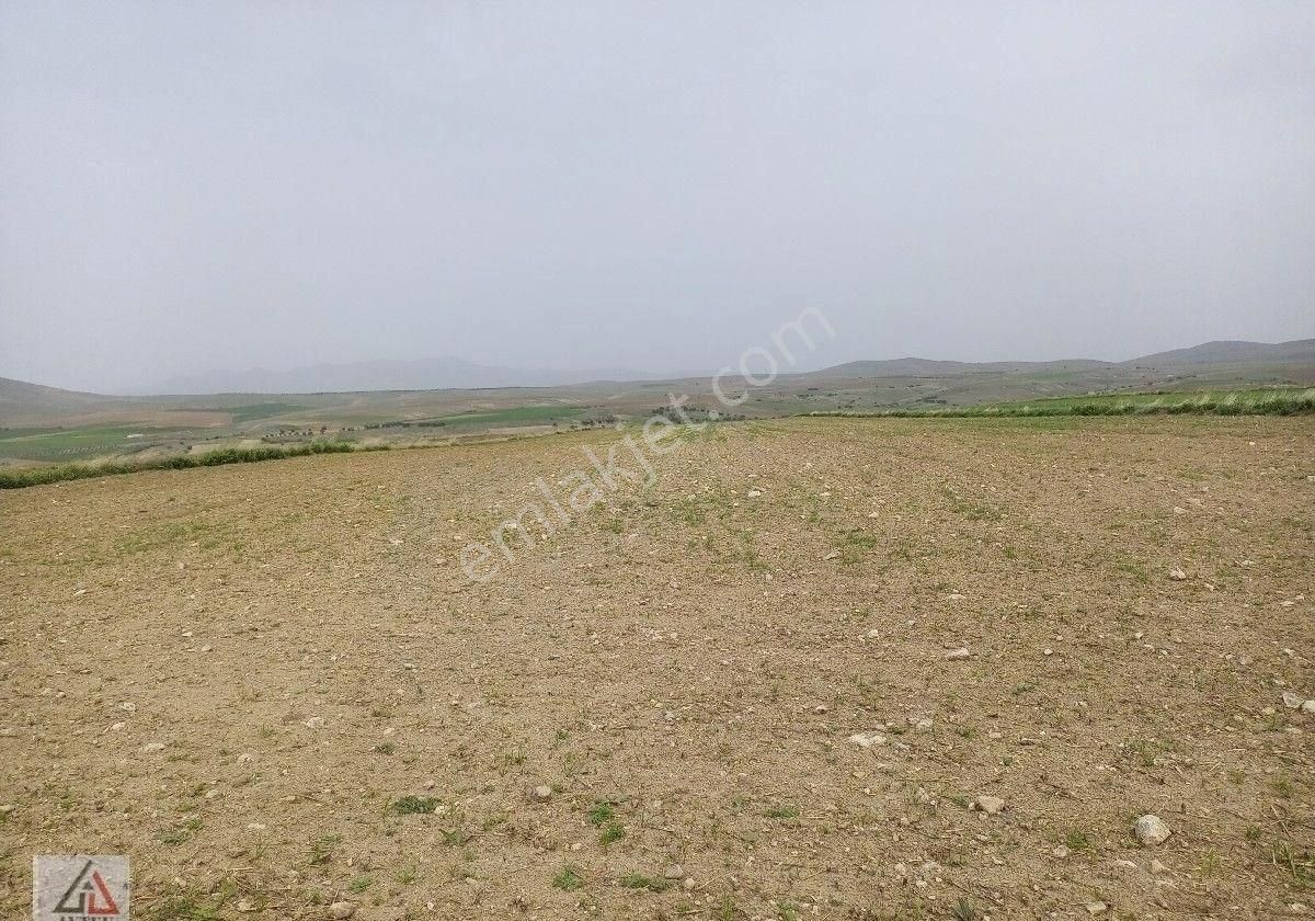 Afyonkarahisar Sultandağı Karapınar Cumhuriyet De Kelepir 5817 M2 Tarla - Görsel 2