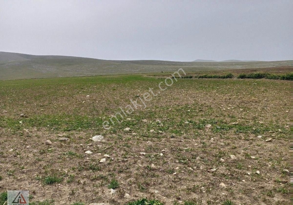 Afyonkarahisar Sultandağı Karapınar Cumhuriyet De Kelepir 5817 M2 Tarla - Görsel 16
