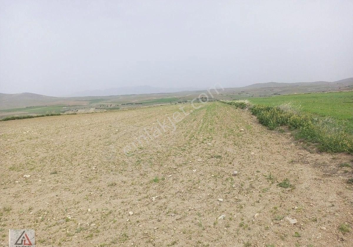 Afyonkarahisar Sultandağı Karapınar Cumhuriyet De Kelepir 5817 M2 Tarla - Görsel 35