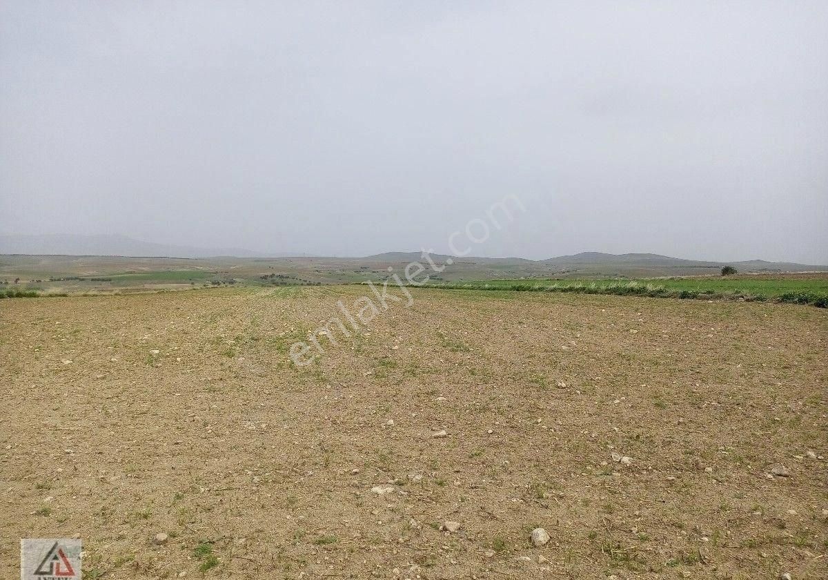 Afyonkarahisar Sultandağı Karapınar Cumhuriyet De Kelepir 5817 M2 Tarla - Görsel 26