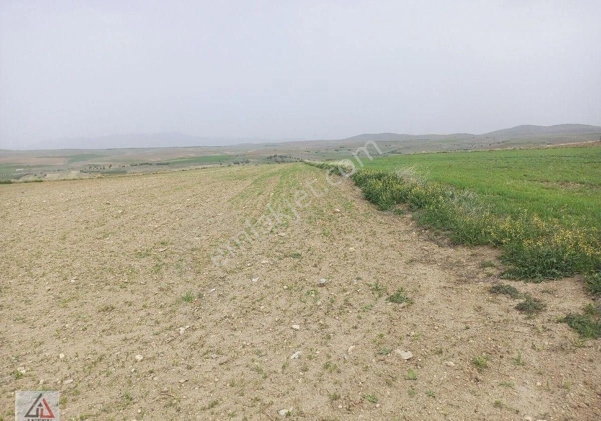 Afyonkarahisar Sultandağı Karapınar Cumhuriyet De Kelepir 5817 M2 Tarla - Görsel 3