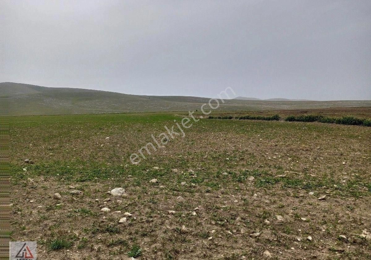 Afyonkarahisar Sultandağı Karapınar Cumhuriyet De Kelepir 5817 M2 Tarla - Görsel 23