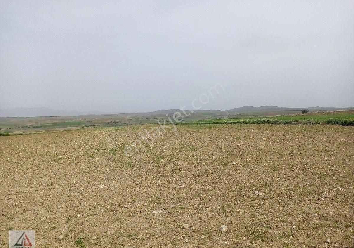 Afyonkarahisar Sultandağı Karapınar Cumhuriyet De Kelepir 5817 M2 Tarla - Görsel 25