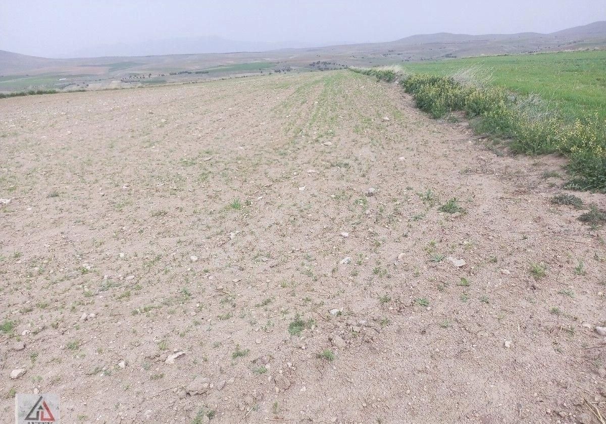 Afyonkarahisar Sultandağı Karapınar Cumhuriyet De Kelepir 5817 M2 Tarla - Görsel 13