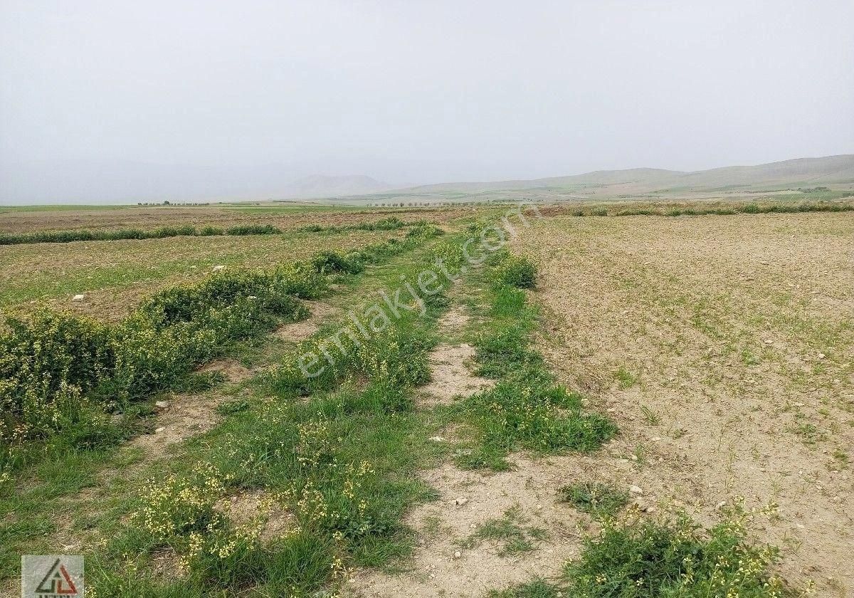 Afyonkarahisar Sultandağı Karapınar Cumhuriyet De Kelepir 5817 M2 Tarla - Görsel 22