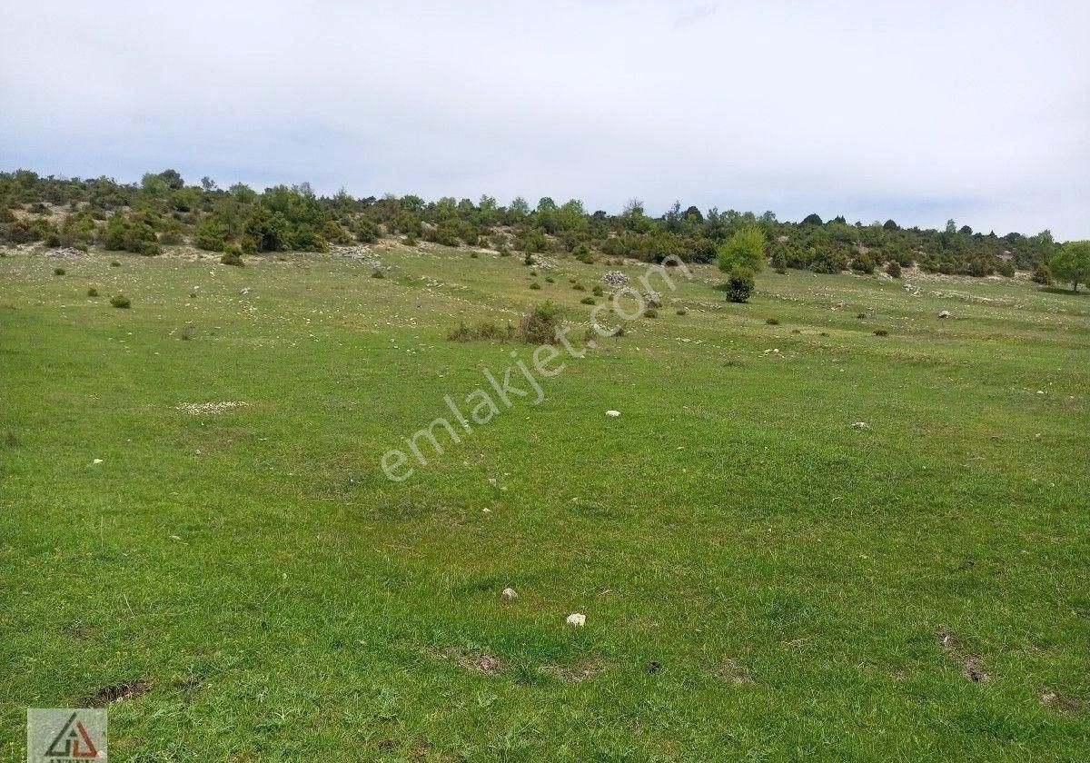 Gölpazarı Göldağı Köyü Satılık Tarla Aytek Gayrimenkul Den Gölpazarı Göldağında Kelepir 2950 M2 Yollu Tarla