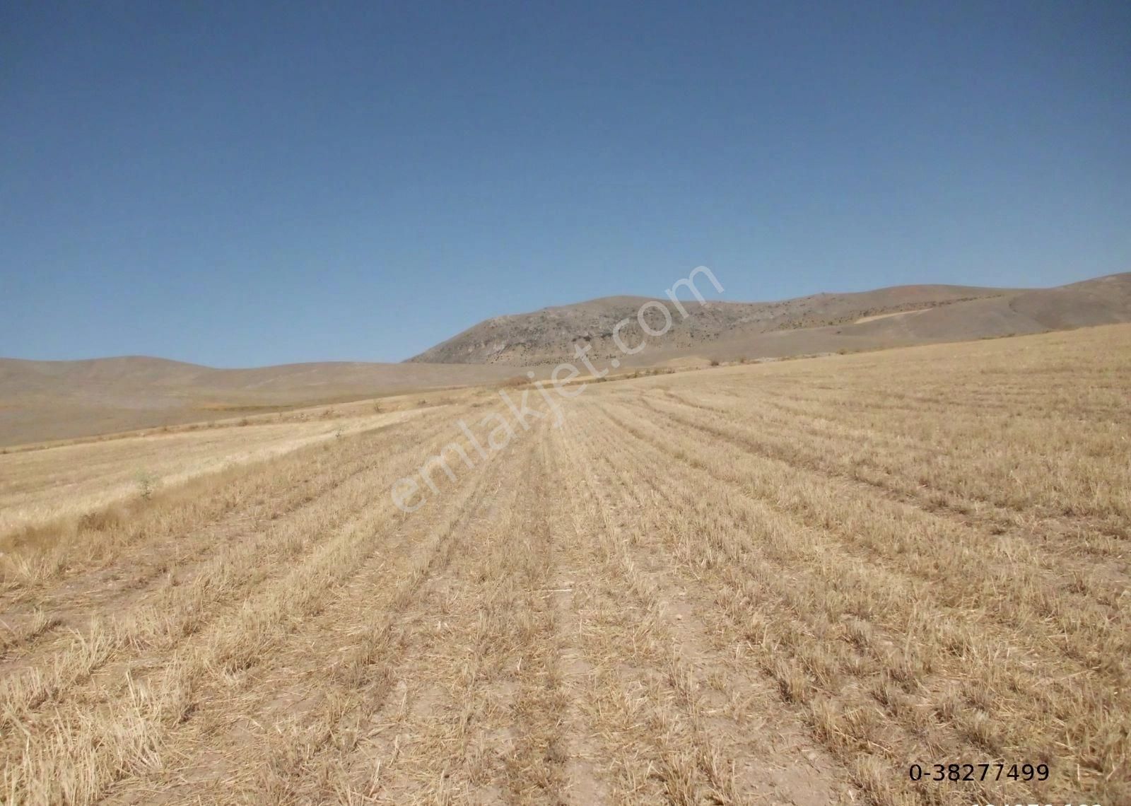 Afyon Sultandağı Çukurçak Ta 13500 M2 Resmi Yollu Tarla - Görsel 21