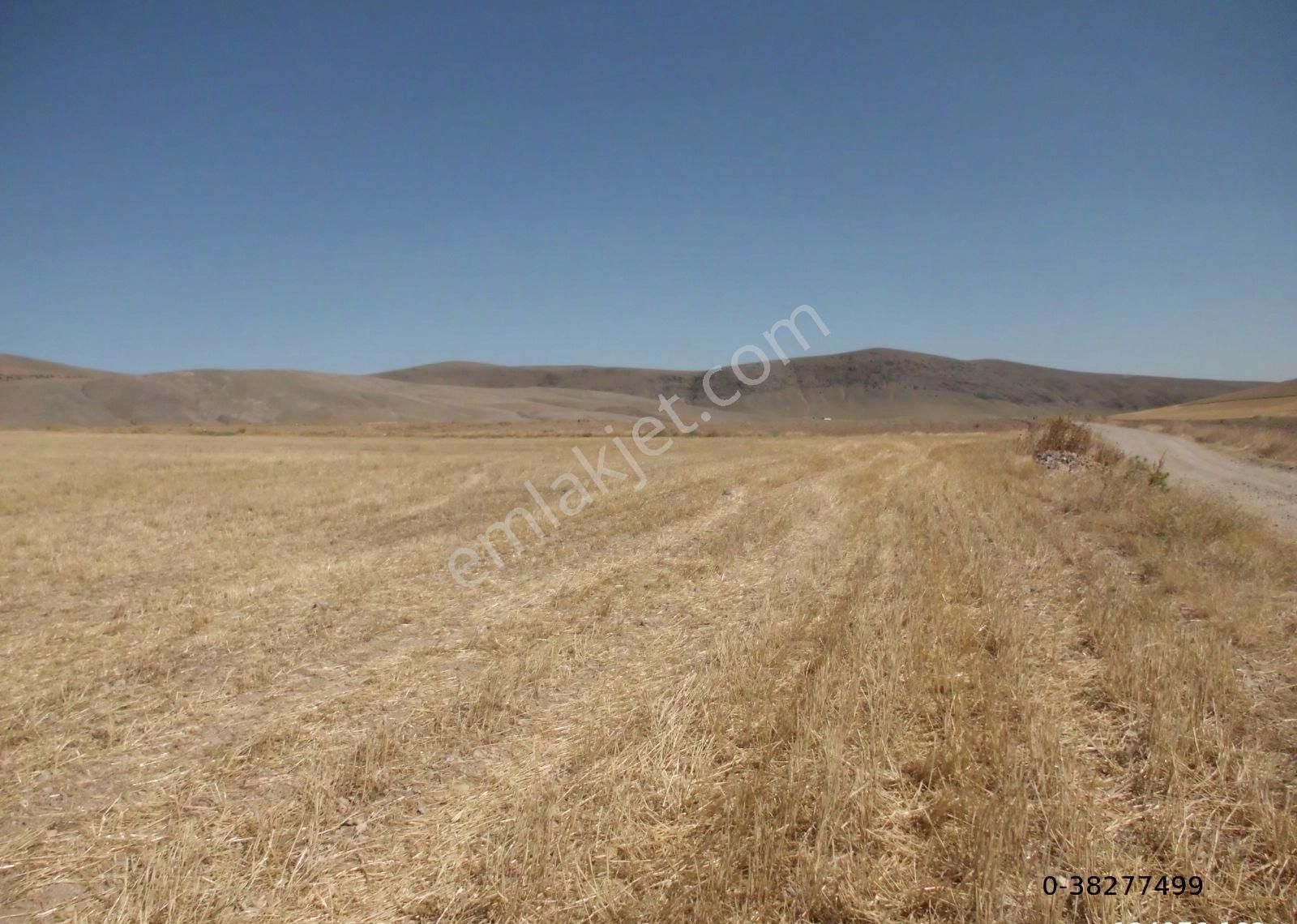 Afyon Sultandağı Çukurçak Ta 13500 M2 Resmi Yollu Tarla - Görsel 18