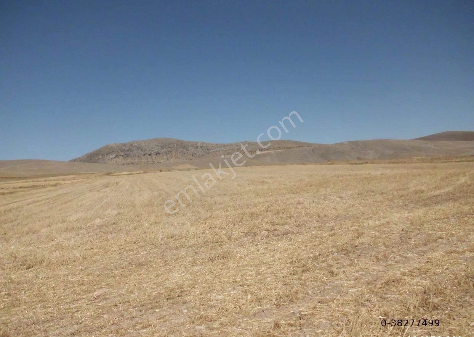 Afyon Sultandağı Çukurçak Ta 13500 M2 Resmi Yollu Tarla - Görsel 17