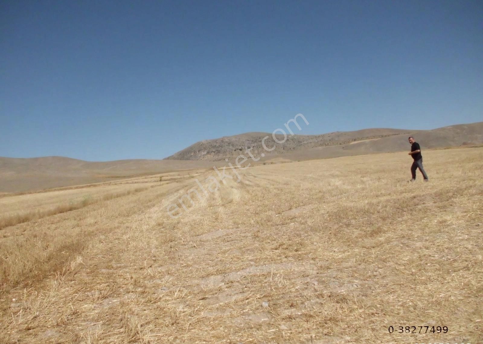 Afyon Sultandağı Çukurçak Ta 13500 M2 Resmi Yollu Tarla - Görsel 4