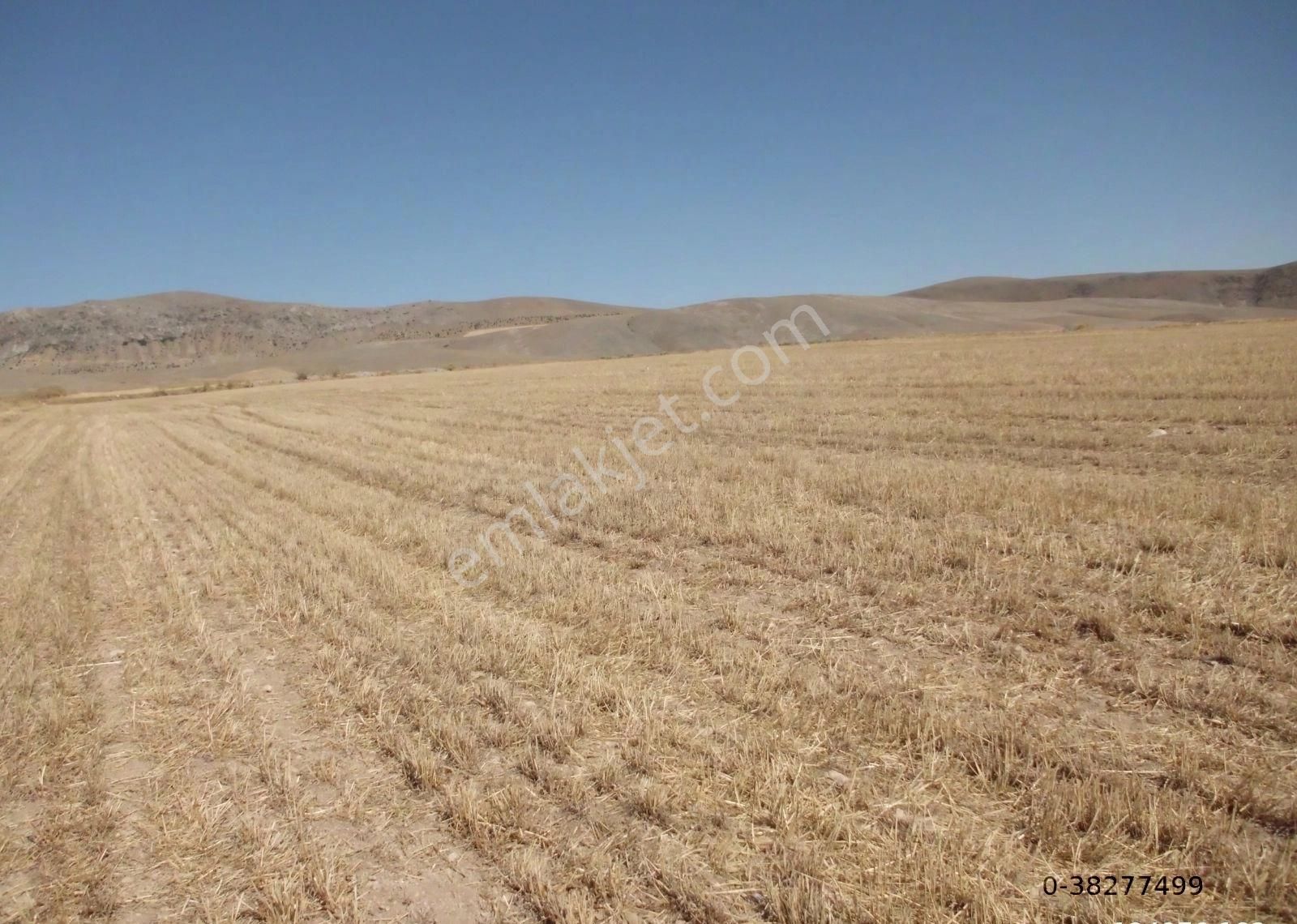 Afyon Sultandağı Çukurçak Ta 13500 M2 Resmi Yollu Tarla - Görsel 25