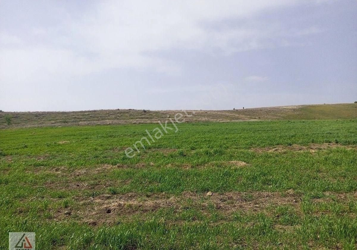 Sandıklı Karadirek Köyü (İstiklal) Satılık Tarla AYTEK GAYRİMENKUL DAN KELEPİR 8800 M2 TARLA