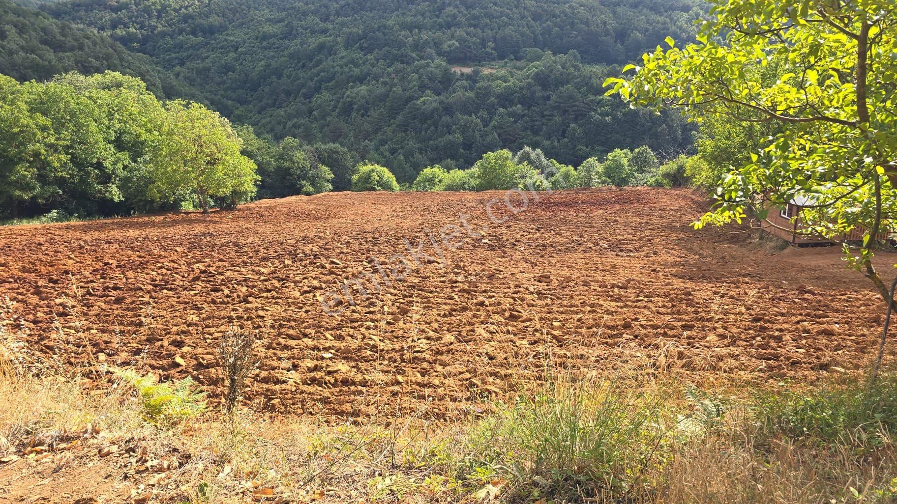 Osmangazi Yiğitali Satılık Tarla Doğa Manzaralı Hobi Bahçesi Sahibinden Satılık