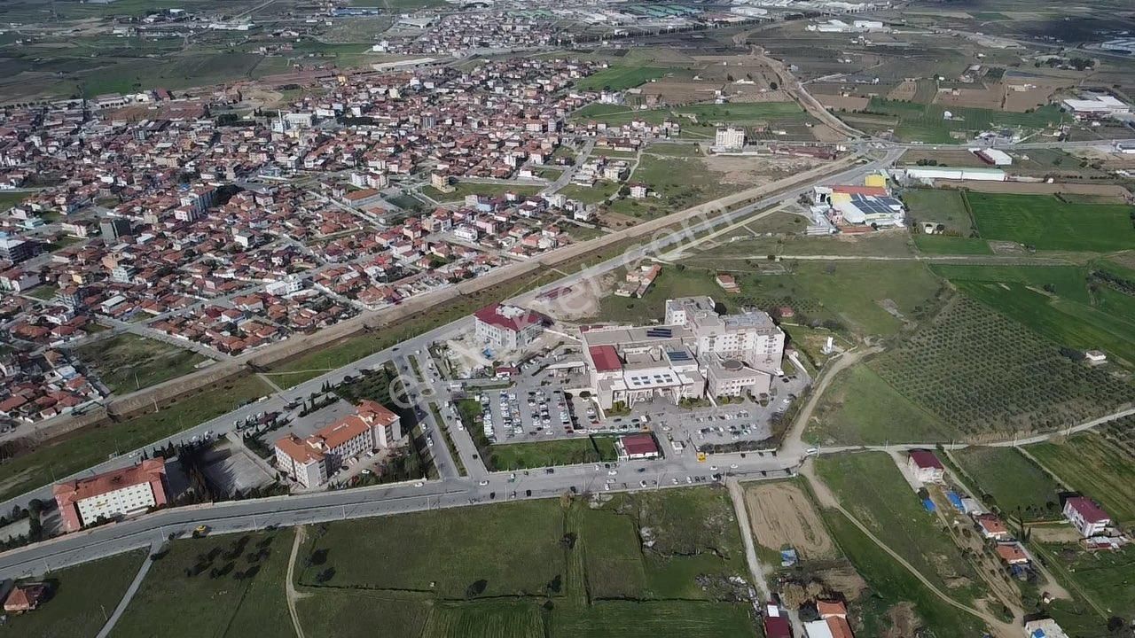 Alaşehir Ilıca Satılık Zeytinlik Manisa Alaşehir Alper Gayrimenkulden Devlet Hastanesi Karşısında Yetişkin Zeytinlik Arazisi