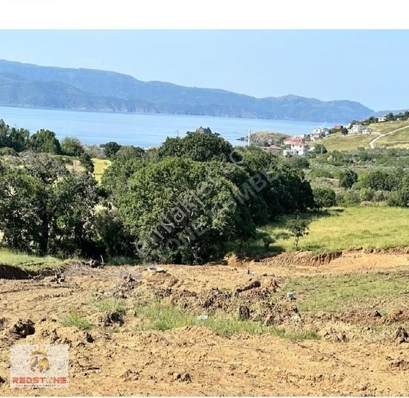 Erdek Poyrazlı Satılık Tarla Paşalimanı- Hisseli Hemen Tapu