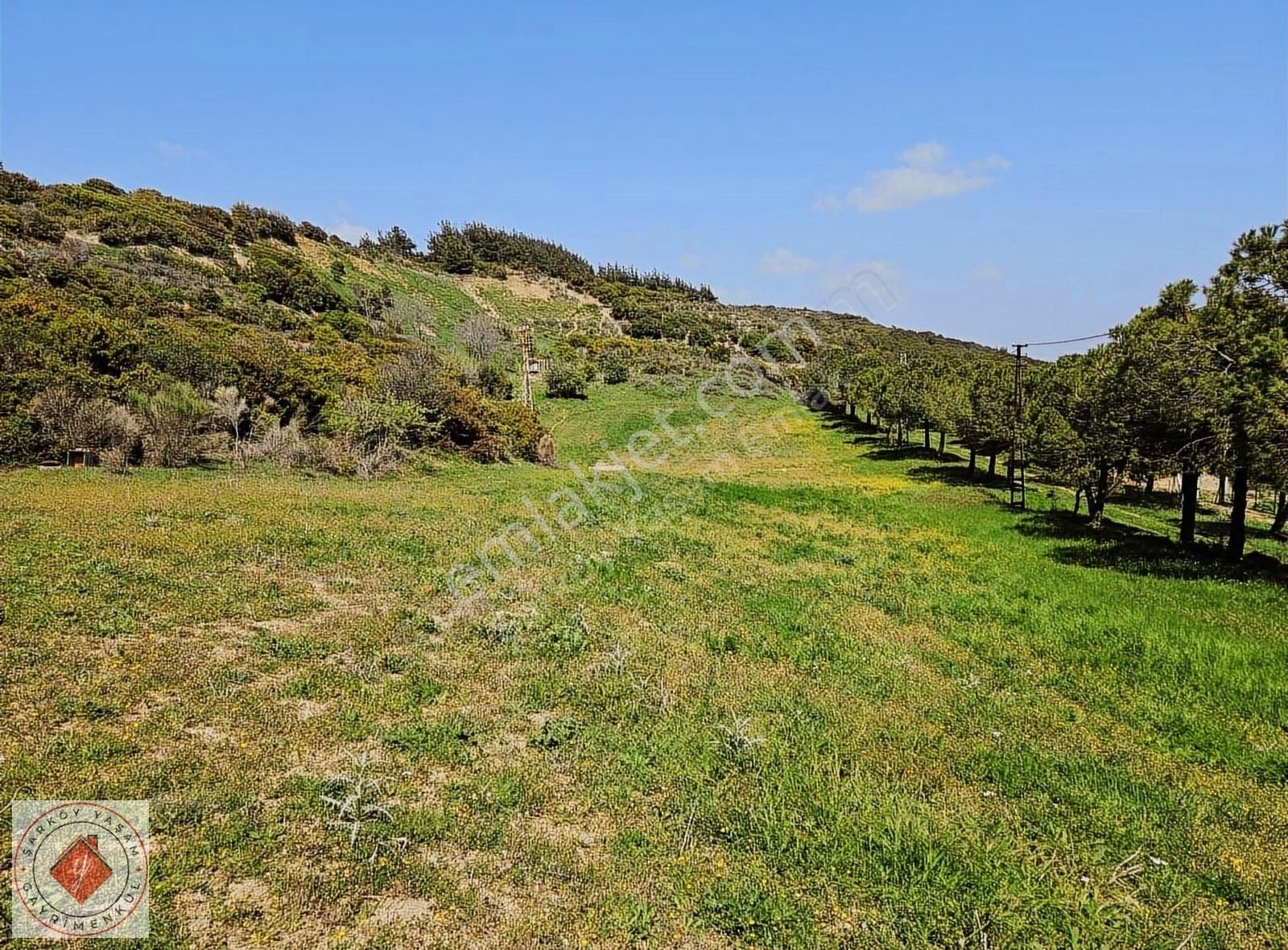 Şarköy Kızılcaterzi Satılık Konut İmarlı ŞARKÖY KIZILCATERZİ MAH KONTUR MEVKİNDE SATILIK ARSA