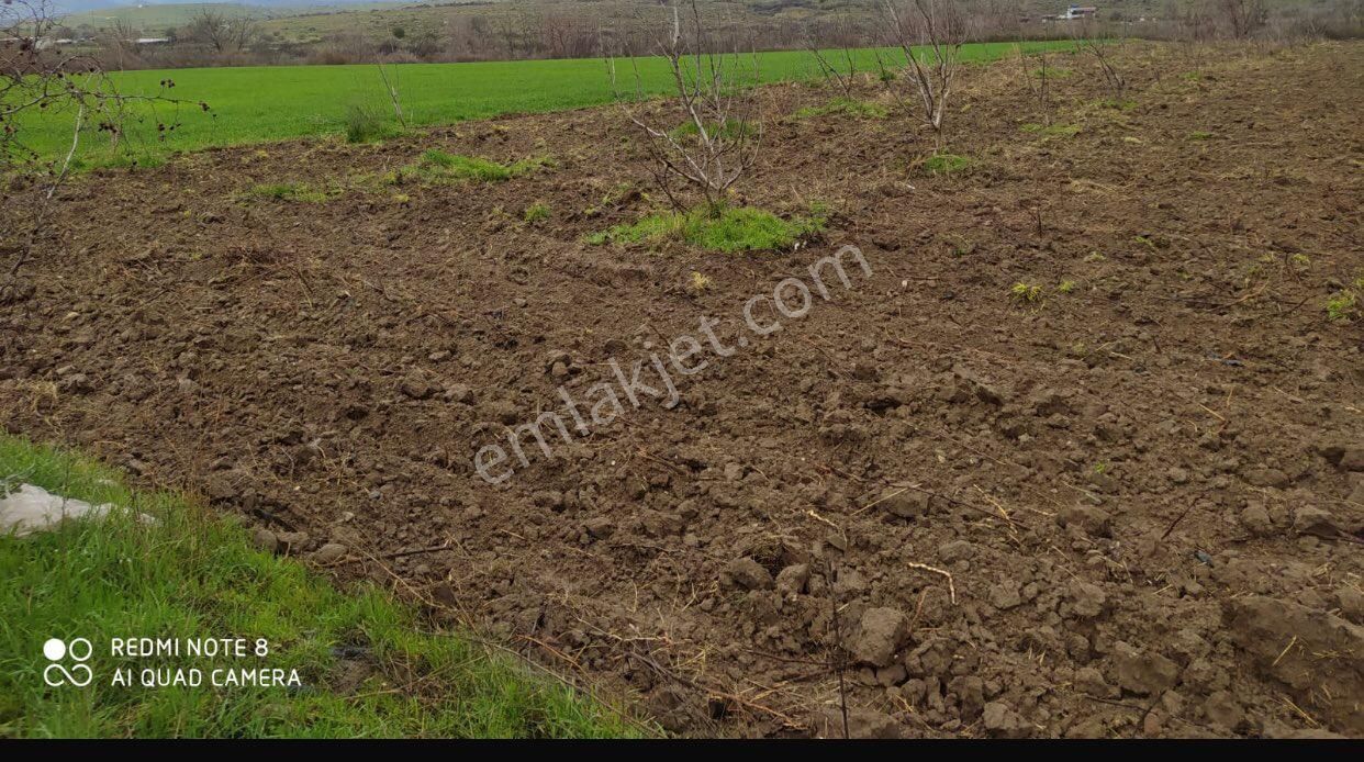 Bergama Ayaskent Satılık Tarla Bergama-Ayaskent Mahallesinde,SATILIK TARLA