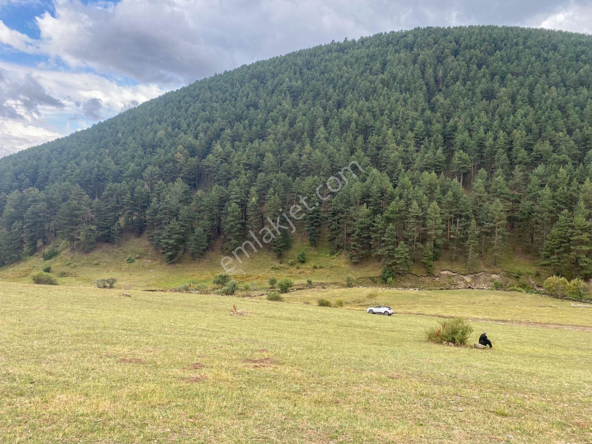 Sarıkamış Şehitler Satılık Sit Alanı  İLÇE MERKEZİNE SADECE 4KM!SİT ALANI UCUZ TARLA 10.397m² YOLU VAR