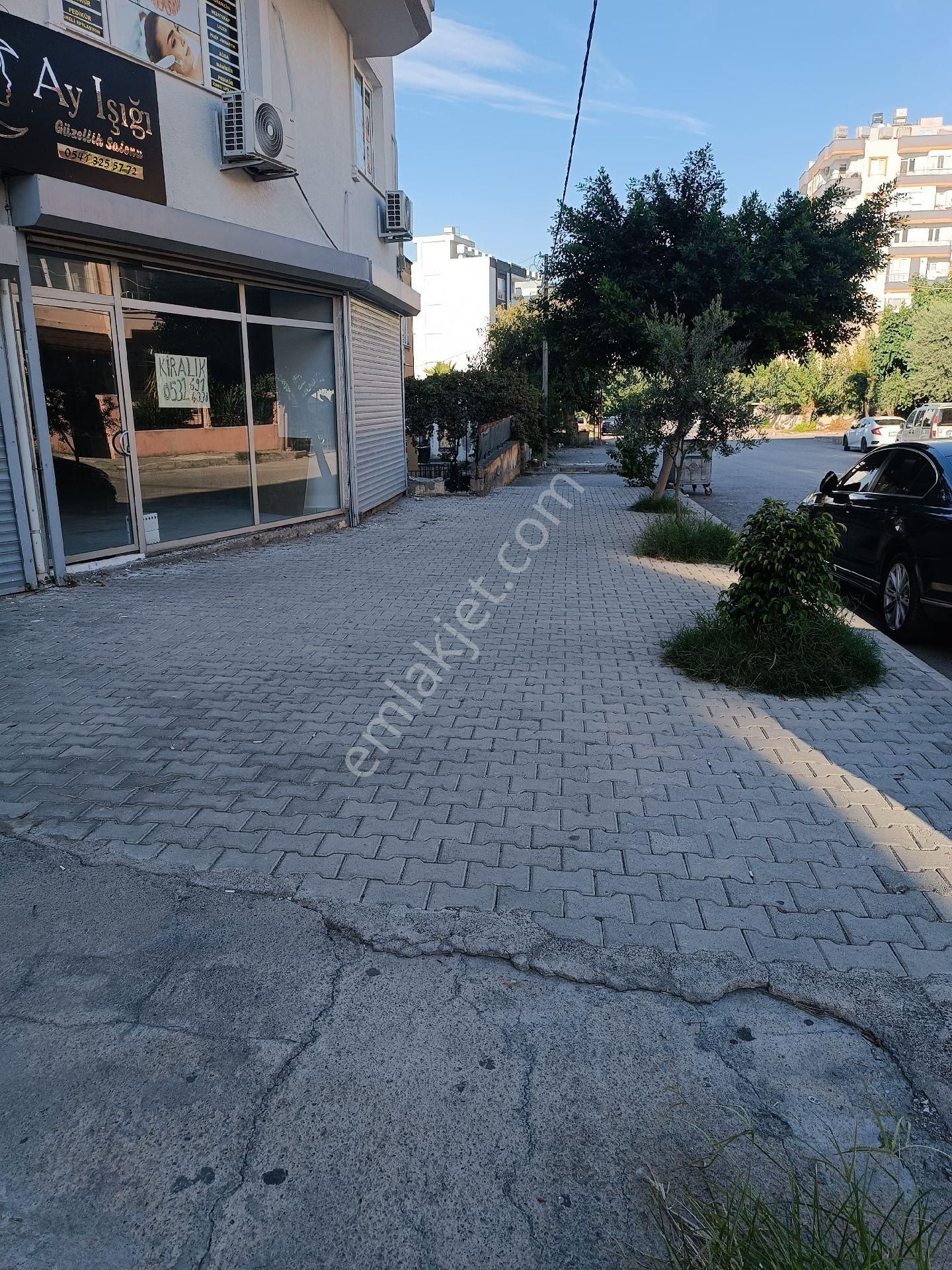 İskenderun Modernevler Kiralık Dükkan & Mağaza kiralık dükkan