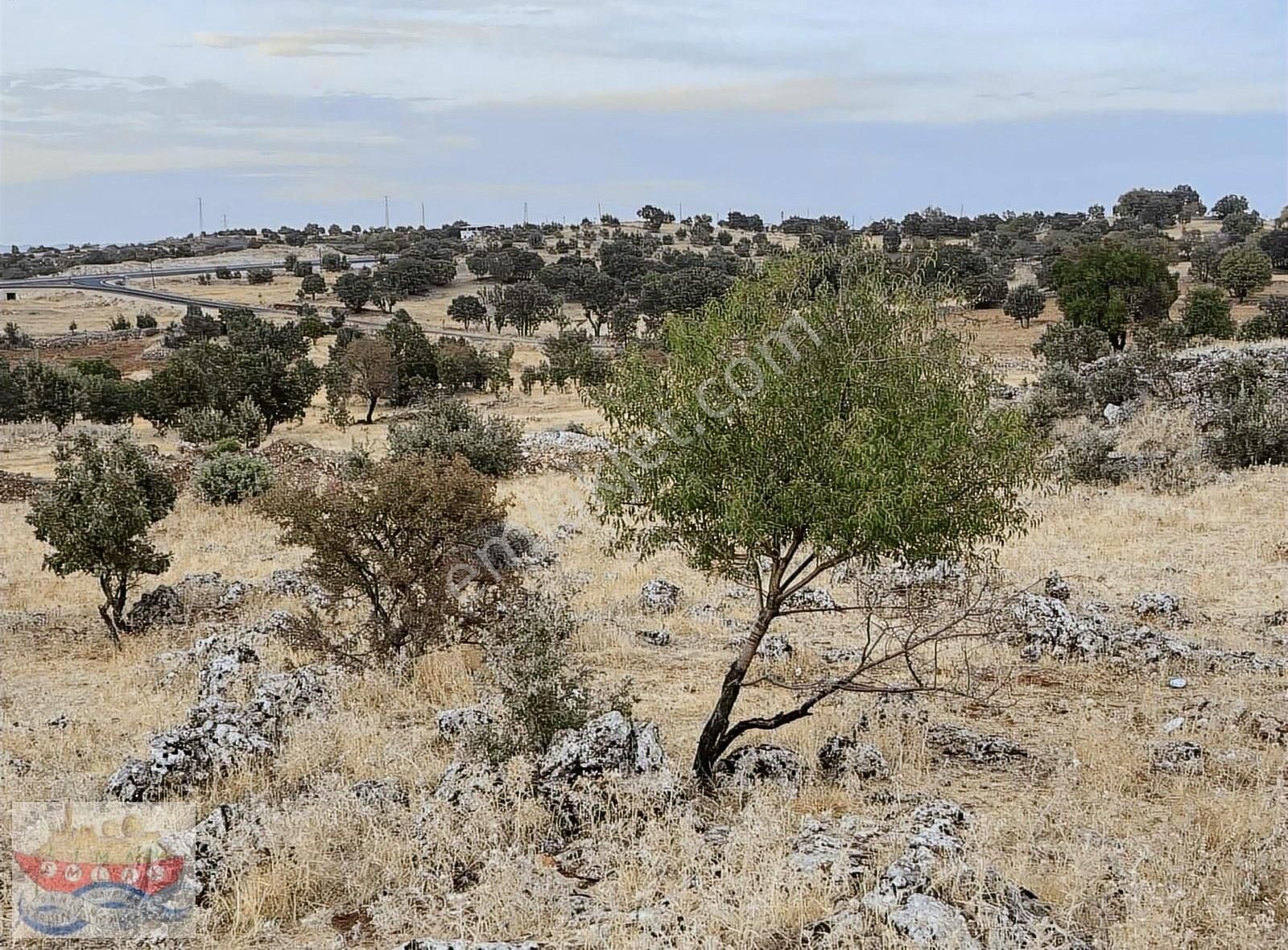 Ömerli Girişi Taşgedik Satılık Tarla Liman'da - Görsel 14