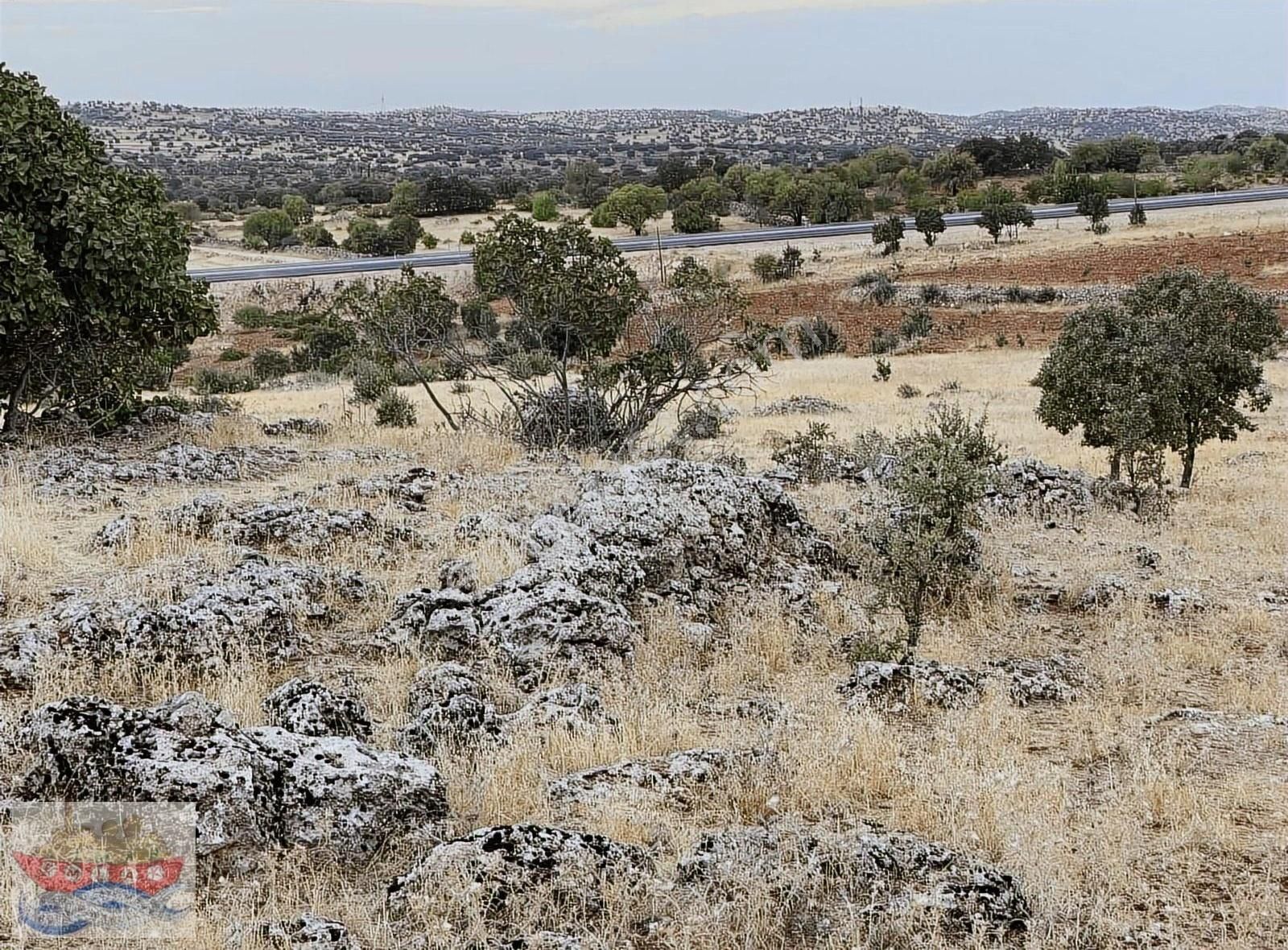Ömerli Girişi Taşgedik Satılık Tarla Liman'da - Görsel 12