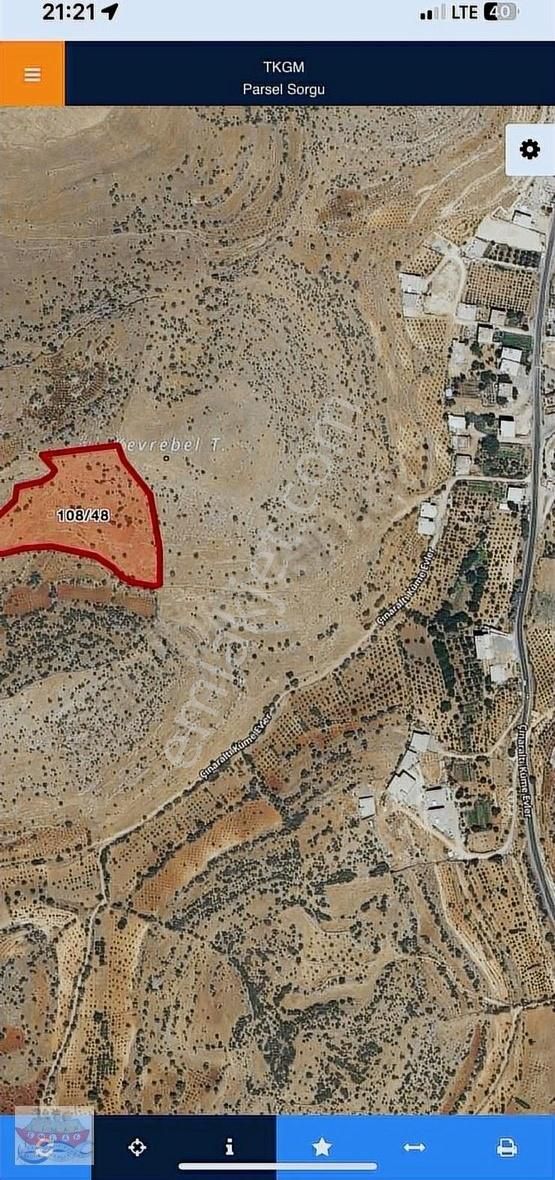 Çınaraltı Rısinede Satılık Tarla Liman'da - Görsel 4