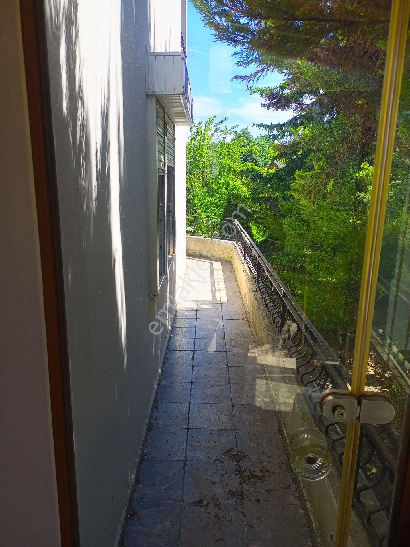 Yalova'nın En Güzel Köyü Güneyköy'de Harika Bir Villa - Görsel 19