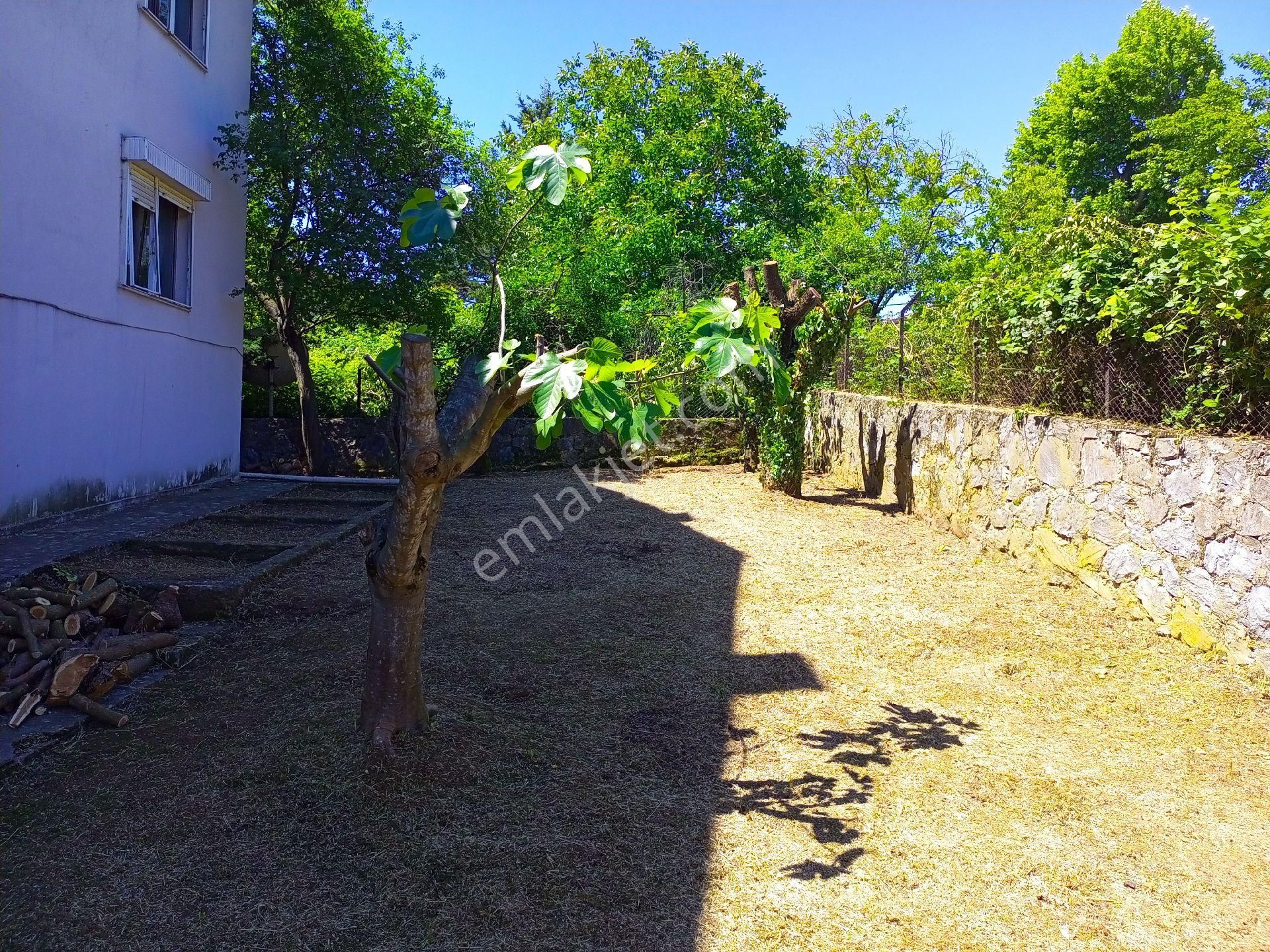 Yalova'nın En Güzel Köyü Güneyköy'de Harika Bir Villa - Görsel 9