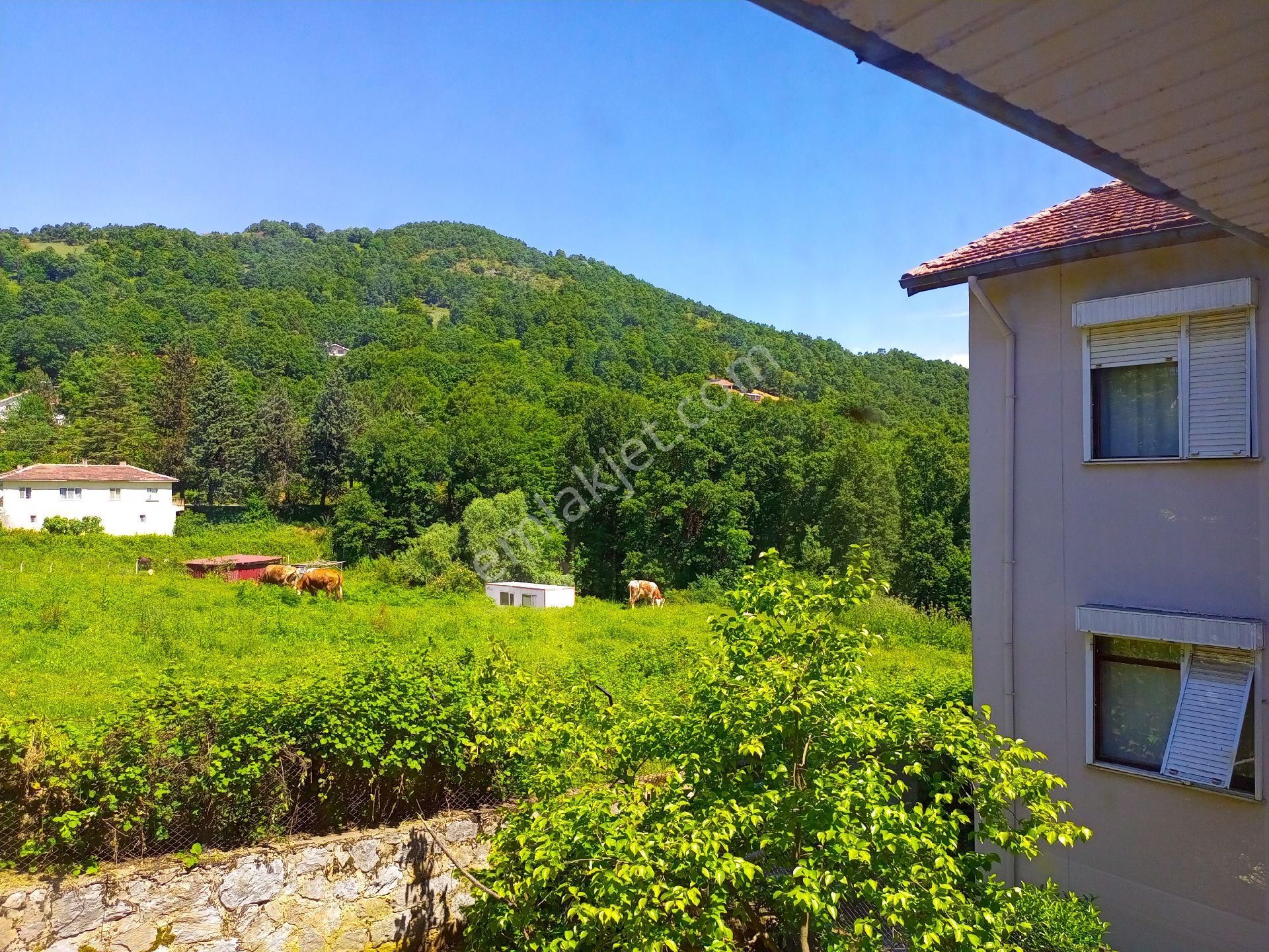 Yalova'nın En Güzel Köyü Güneyköy'de Harika Bir Villa - Görsel 32