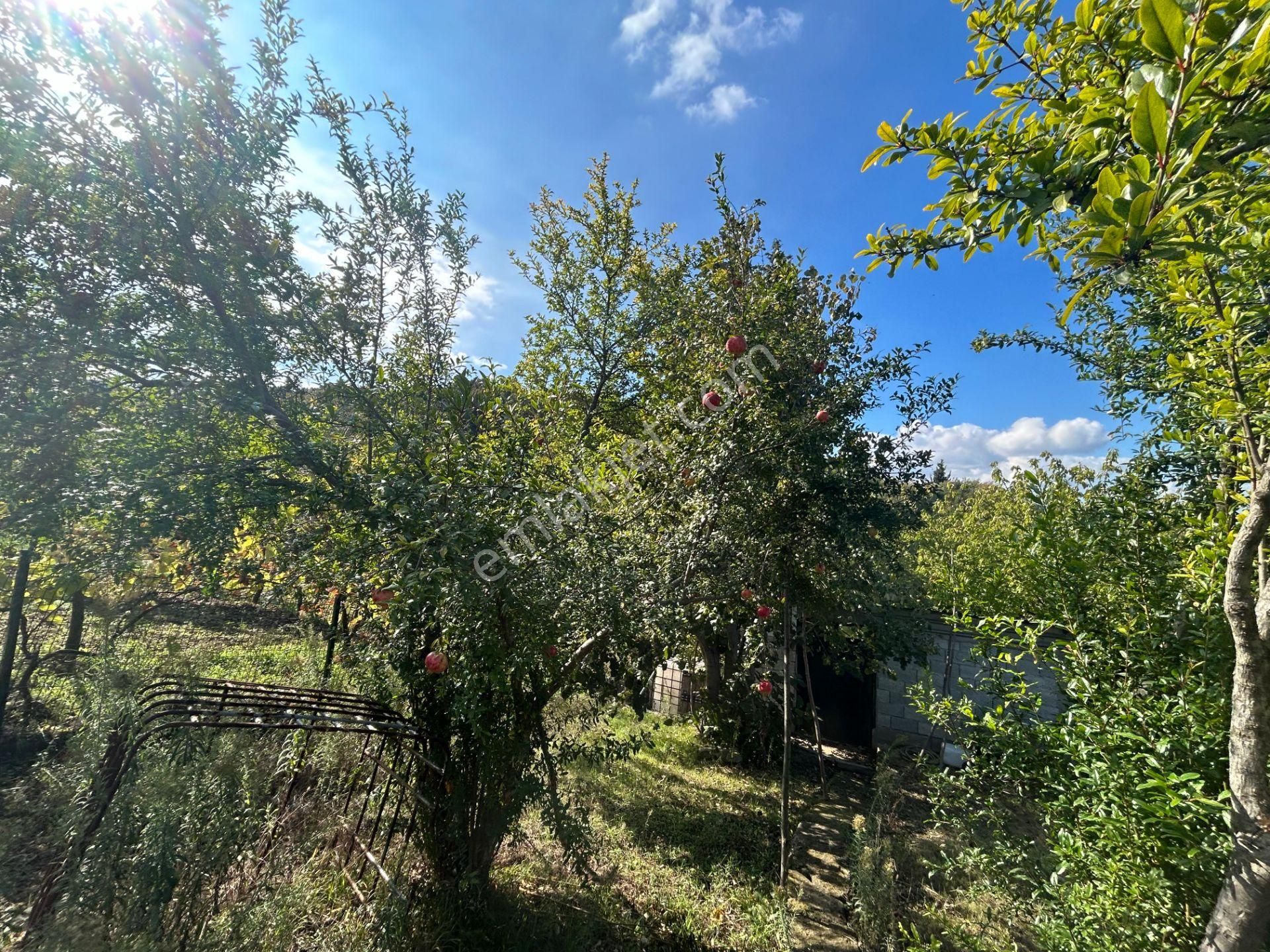 Kocaeli Karamürsel Dereköy Satılık Deniz Manzaralı 4+2 Müstkil Ev - Görsel 18