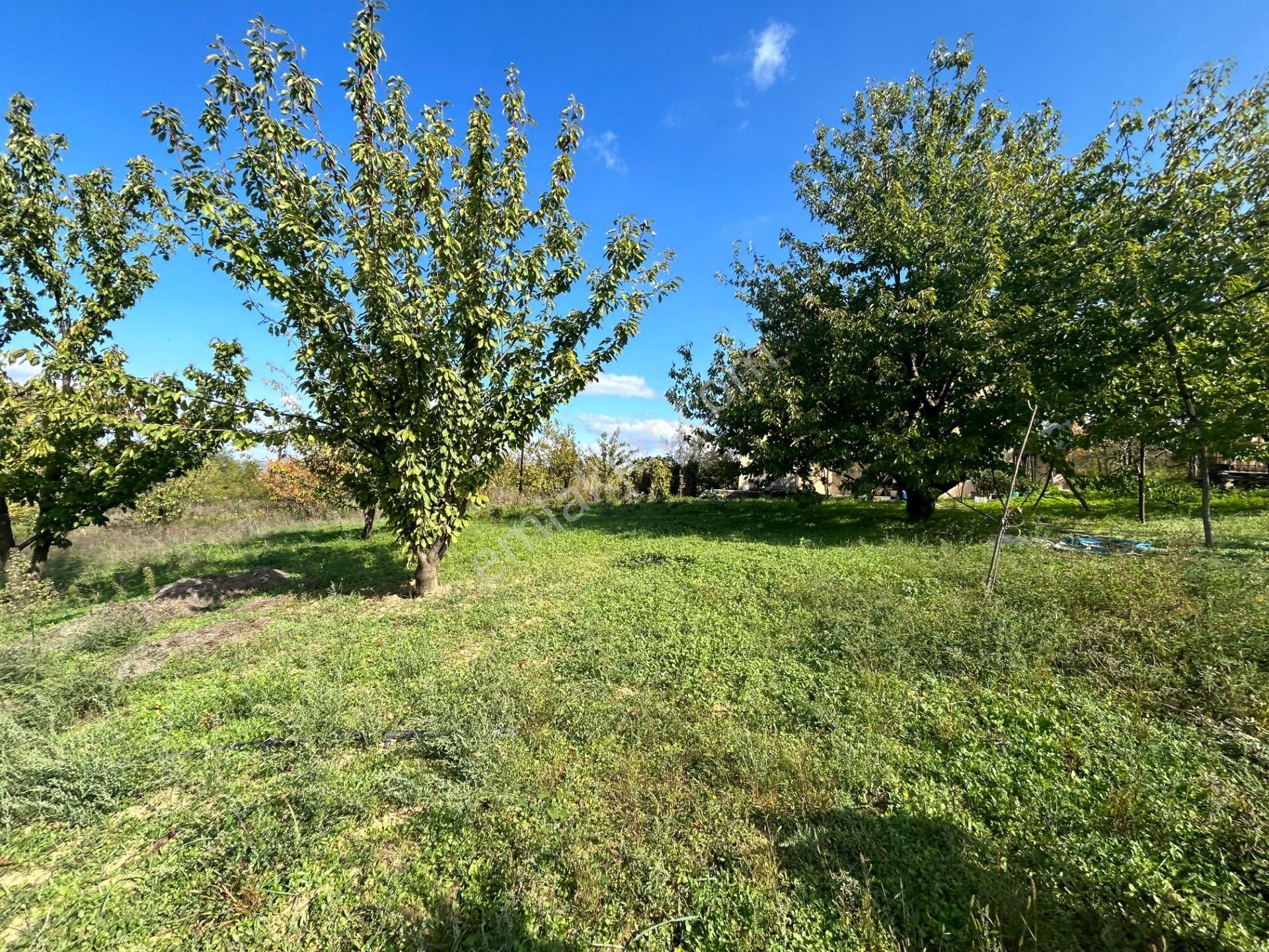 Kocaeli Karamürsel Dereköy Satılık Deniz Manzaralı 4+2 Müstkil Ev - Görsel 9