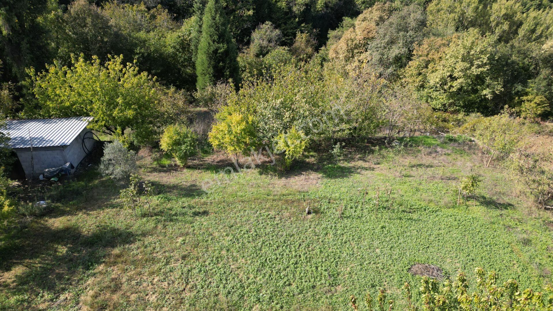 Kocaeli Karamürsel Dereköy Satılık Deniz Manzaralı 4+2 Müstkil Ev - Görsel 2