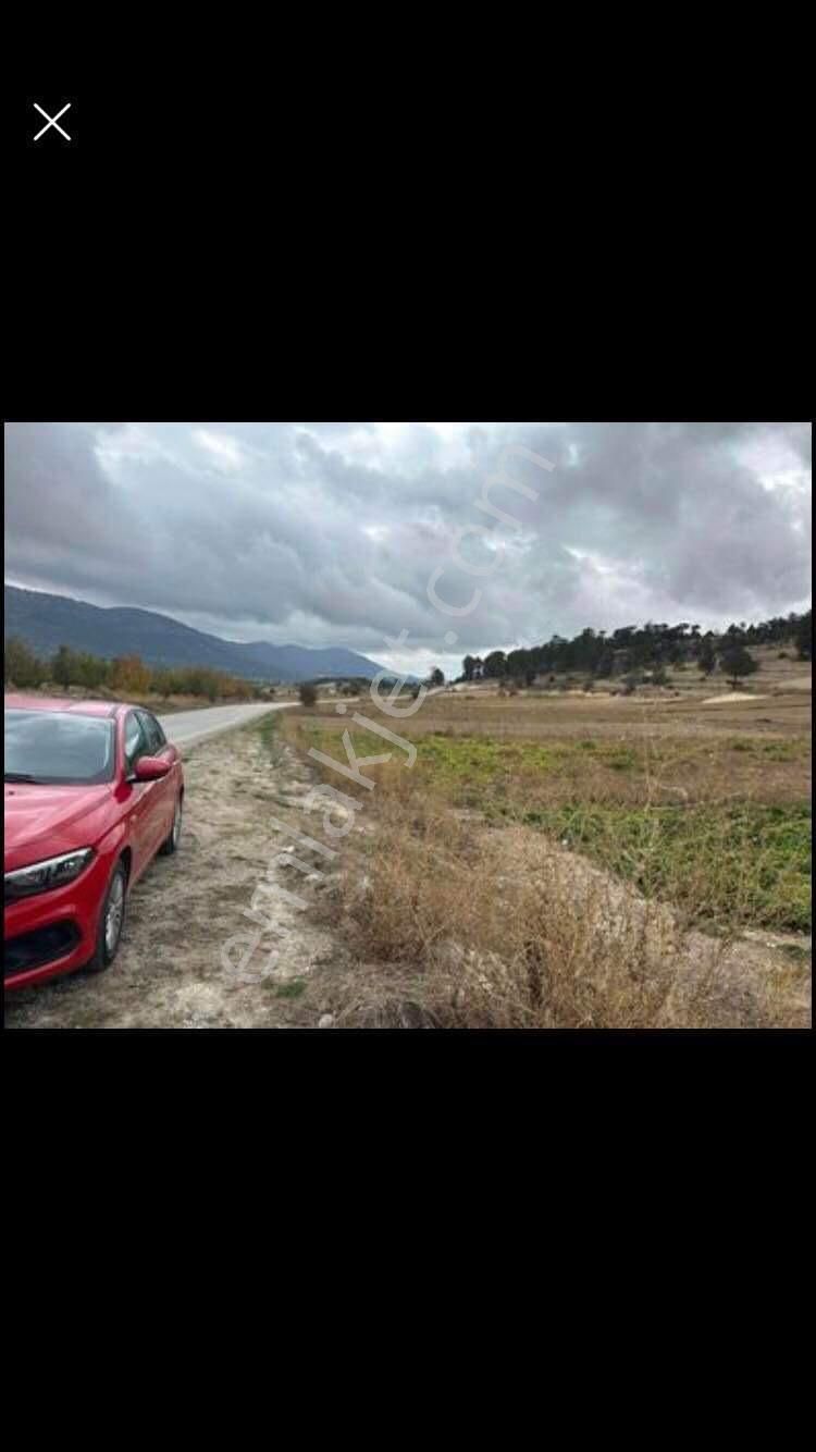 Çameli Kalınkoz Satılık Tarla Denizli Çameli Merkeze yakın Satılık Müstakil Tarla 