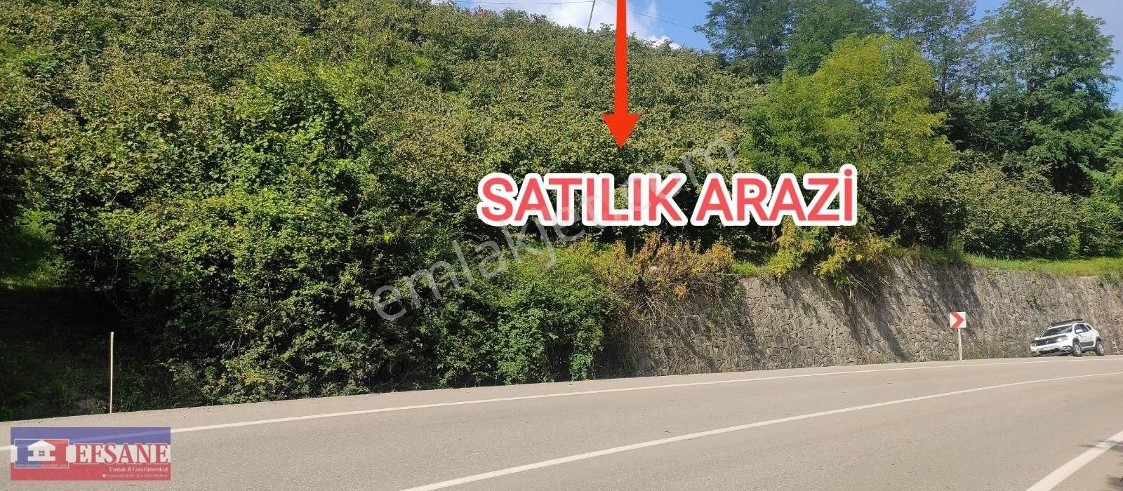 Fatsa Ayazlı Satılık Tarla KORGAN-KUMRU YOLU ÜZERİNDE SATILIK ARAZİ