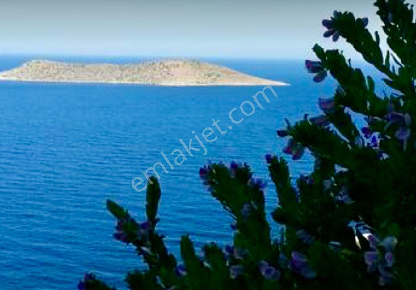 Gümüşlük Yalıkavak Yunan Adaları Manzaralı Geniş Bahçekatı - Görsel 8