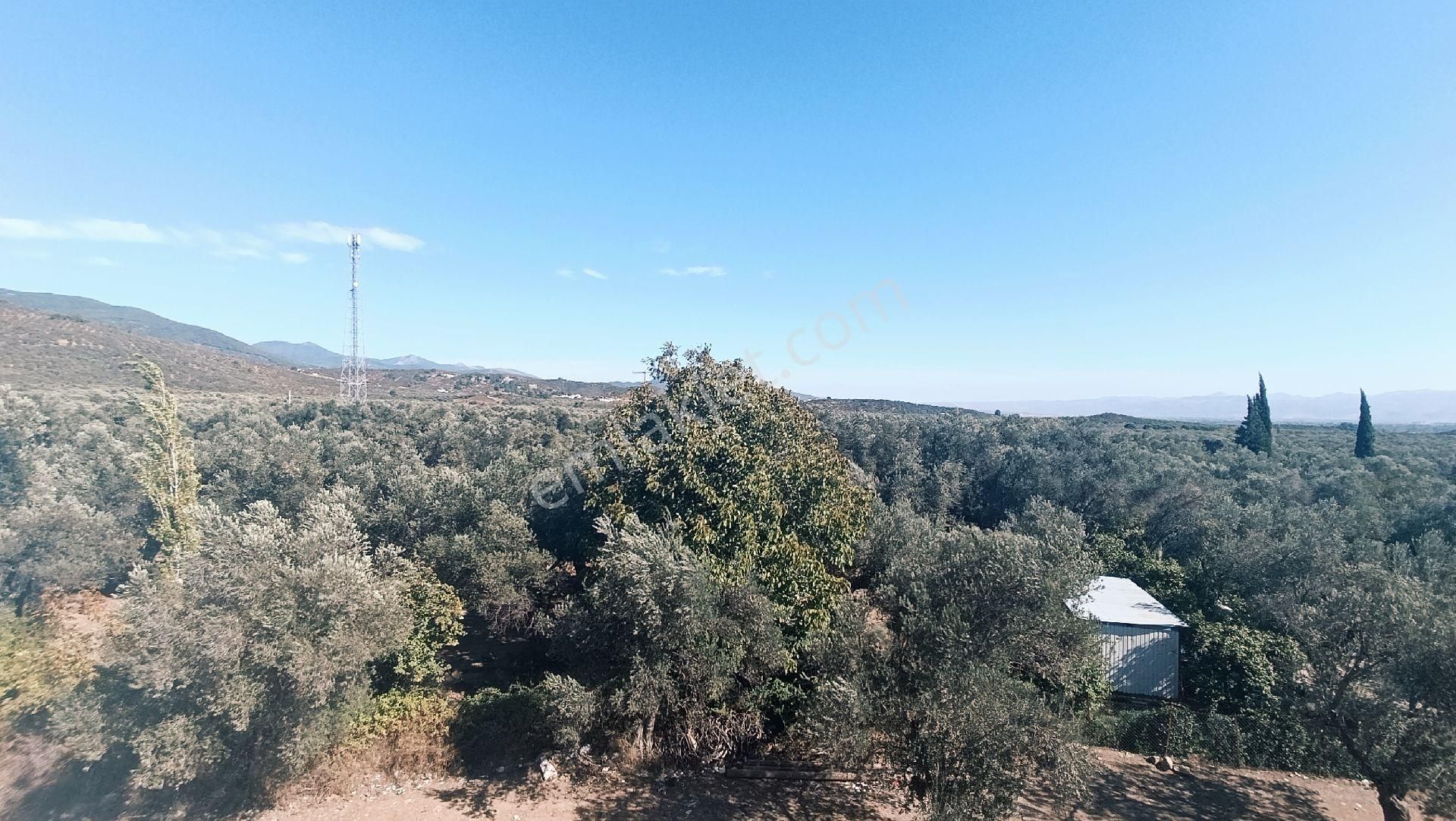 Güre Mevkisinde Doğa İçerisinde Satılık Villa - Görsel 14