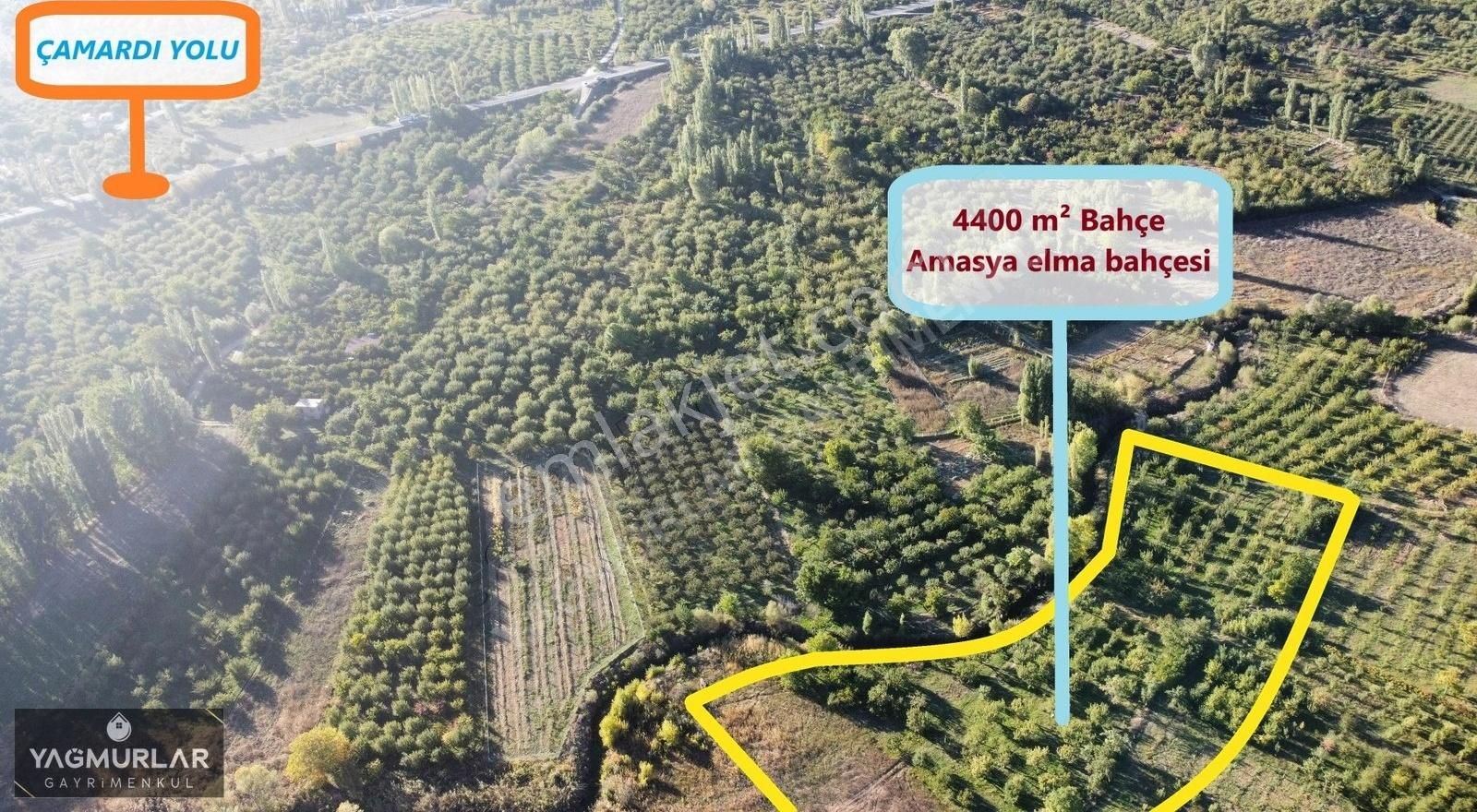 Çamardı Bademdere Köyü (Bademli) Satılık Bağ & Bahçe YAĞMURLAR GAYRİMENKUL'DEN BADEMDERE 4400 M² BAKIMLI ELMA BAHÇESİ