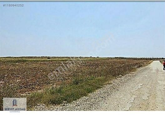 Yüreğir Belören Satılık Tarla YÜREĞİR BELÖREN YOL ÜSTÜ SATLIK 11000 M2 TEKTAPU SU İÇİNDE TARLA