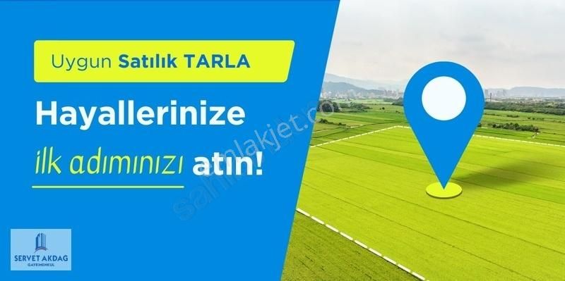 Yumurtalık Deveciuşağı Satılık Tarla Yumurtalık Deveciuşagı Satlık 3.000m2 Yeri Ayrı Tapu Hazır Tarla