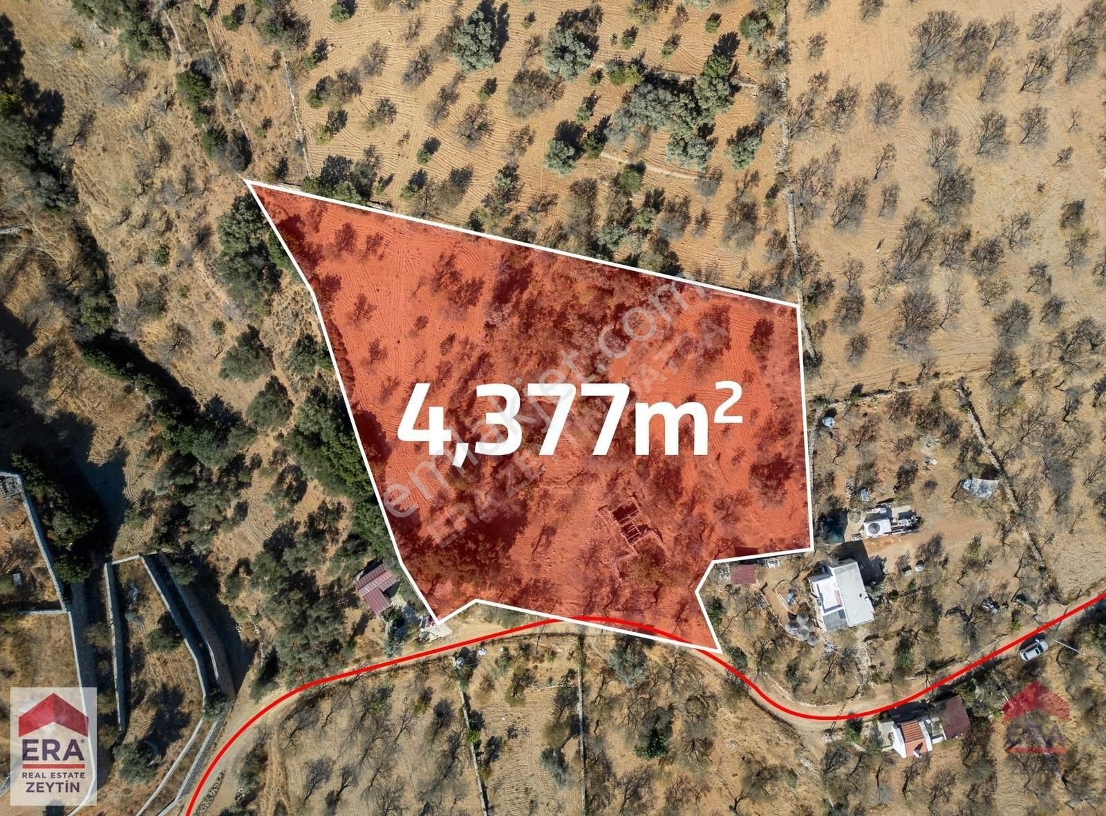 Datça Cumalı Satılık Tarla Datça Cumalı Köyünde 4.377m2 Satılık Arsa