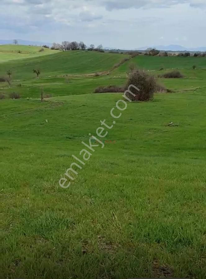 Biga Sazoba Köyü Satılık Tarla Çanakkale Biga Satılık Arazi Yatırımlık​