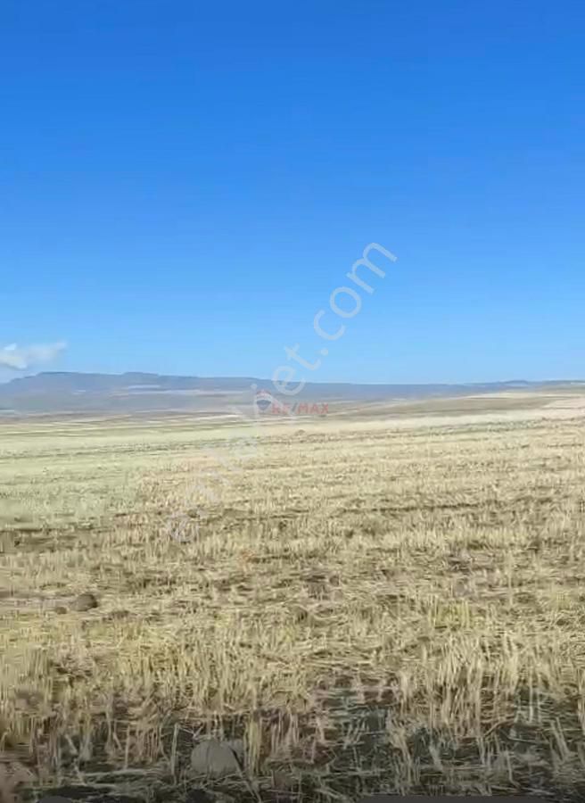 Kars Merkez Mezraa Köyü Satılık Tarla Kars Merkez Satılık Arazi Yatırımlık Mezra Köyünde​