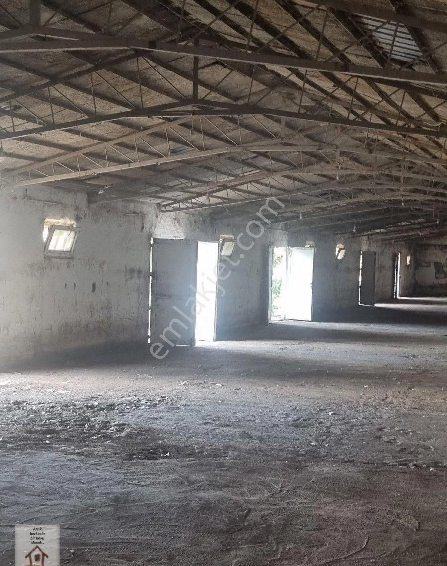 Selimpaşa Kavaklı Yolu Üzerinde Kiralık Depo - Görsel 6